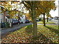 Autumn leaves along Mollison Way in HA8 6BZ