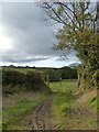 Field access track, Easton Moor in EX31 3LT