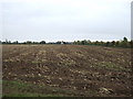 Field off Winslow Gate in PE12 8LN
