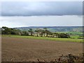 Fields south-east of the road to Linscott in EX31 3JY
