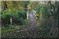 Footbridge over The Cut in RG42 6AT