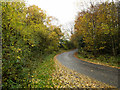 Woodland of Bishop's Close and bend in road in DL16 7QR