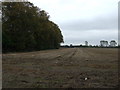 Stubble field and hedgerow in PE12 9QB
