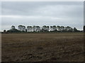 Stubble field off New Road in PE12 9QB