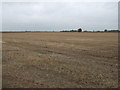 Stubble field near Sutton Bridge in PE12 9QA