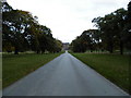 Driveway to Glamis Castle in DD8 1RT