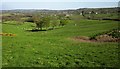 Farmland east of Crook Hill in BA22 9QZ