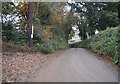 Lane to Hembury Gate in EX21 5PJ