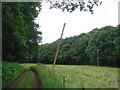 Leaning Telegraph Pole near Highwood Cottage in B61 9ED