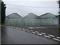 Greenhouses, Roman Bank Nurseries in PE34 4HA