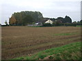 Stubble field, Orange Row in PE34 4NH