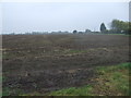 Farmland off Bailey Lane in PE34 4BA