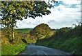 Lane At Golden Hill in Spittal (Pembrokeshire)