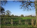 Farmland, Lower Halstock Leigh in BA22 9SJ