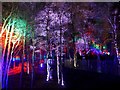 The Enchanted Forest, Pitlochry in PH16 5LB