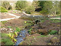 Bridge over the stream at Harlow Carr gardens in HG3 1SF