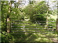 Gate across the site of the Cardi Bach rail line in SA34 0TU