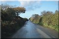 Rural lane approaching Upcott Cross in EX39 6HE