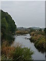 River Whitadder near Allanton in TD11 3JY