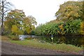 Somerford Park Farm: lake in CW12 4SW