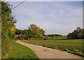 View east from Blake Hall Road, late October in CM5 9LW