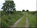 Farm track opposite Odell Lodge in MK43 7AB