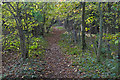Footpath near Woodcray Cottages in RG40 3LD