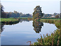 River Stour above Sudbury in CO10 1GR