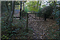 The gate in the woods in RG40 3PJ