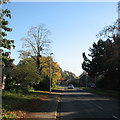 Barton: Comberton Road in autumn in CB23 7AY