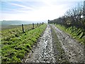 Up Sydling, bridleway in DT2 9PQ