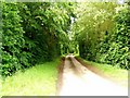 Driveway to Park Farm in IP21 5BS