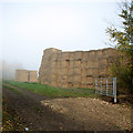 Field gate, bales and mist in CB23 2TX