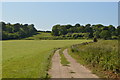 Bridleway to Ashour Farm in TN11 8RY