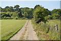 Track to Ashour Farm in TN11 8RY