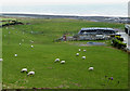 Coastal pasture north-east of Aberaeron, Ceredigion in SA46 0JP
