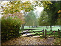 Gate into Killerton at Lower Budlake in EX5 3LQ