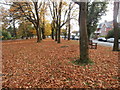 Fallen leaves, Roath Park, Cardiff in CF23 6PT