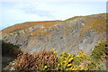The cliffs of Dinas Island in SA42 0SE