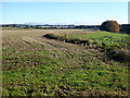 Fields and fence near Shelly Bridge in NE61 4NJ