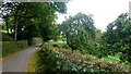 Lane at Tre-llwyfan in NP7 8UE