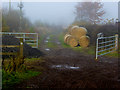 Bales and bridleway at Threepwood in Meldon