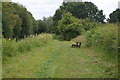 Bench by the Ashby Canal in CV13 0PB