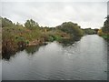 The Selby Canal south of Brayton Road bridge in Brayton