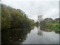 The Selby Canal in autumn in YO8 8LB