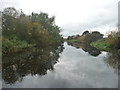 Selby Canal, west of Burn Bridge in YO8 9LB