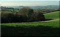 Countryside from the Monarch's Way in DT6 6HR