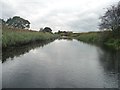 An autumn morning on the Selby Canal in YO8 9LB