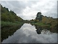 Still waters on the Selby Canal in YO8 9LB