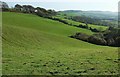 Pasture, Denhay Hill in DT6 5NW